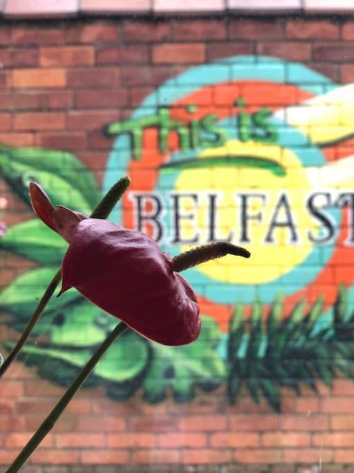 Cosy Two Bed Terraced House 7min Drive From Hébergement de vacances Belfast